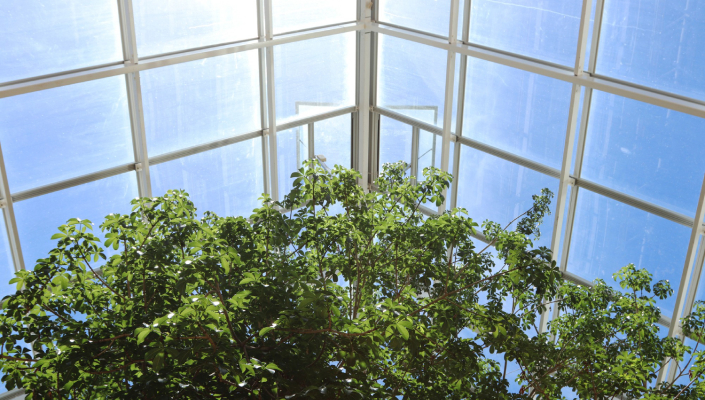 is-triple-glazing-worth-it-in-south-africa-climate-banner-4-1750066295