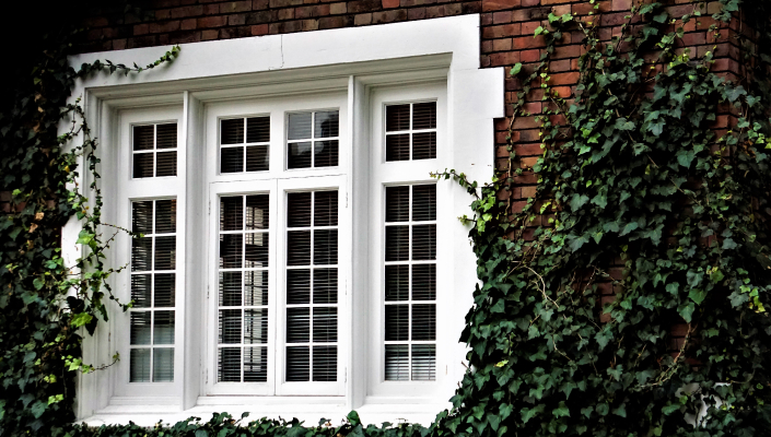 low-maintenance-windows-and-doors-for-busy-homeowners-banner-3-1750068882